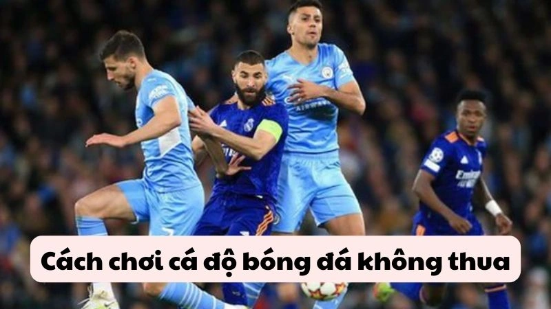 cách chơi cá độ bóng đá không thua