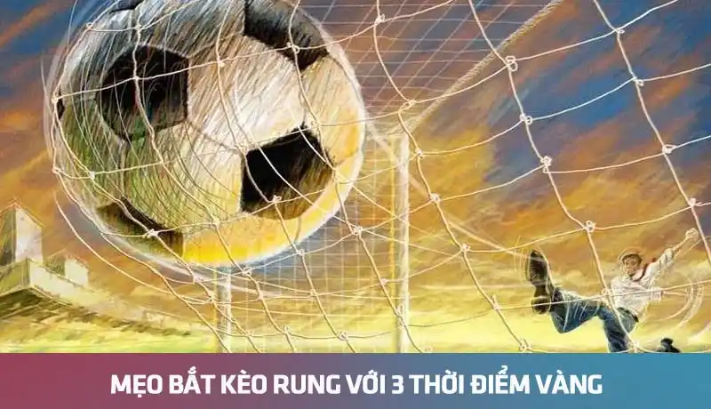 Mẹo bắt kèo rung với 3 thời điểm vàng dựa vào dữ liệu 7M